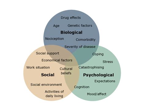 What is the Bio-Psycho-Social Model of Pain? - European Pain Federation