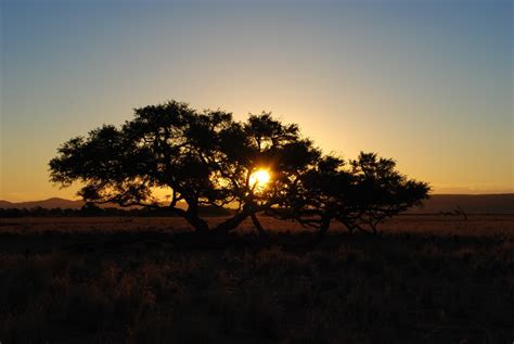 Free Images : landscape, nature, horizon, sun, sunrise, sunset, field, sunlight, hill, desert ...