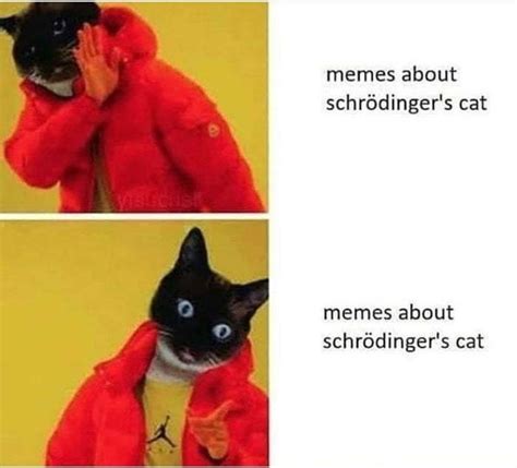 The best Schrodinger memes :) Memedroid