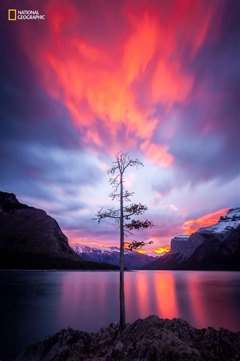 The 2016 National Geographic Nature Photographer of the Year Contest » TwistedSifter