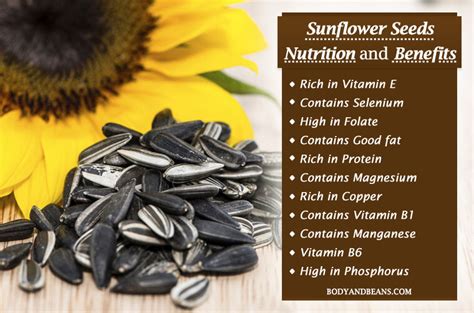 Sunflower Seeds Nutrition And Benefits That Will Make You Love Them