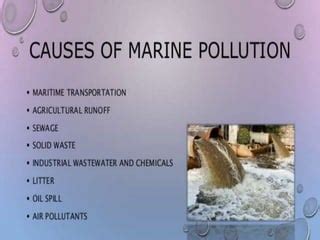 What Causes Marine Pollution