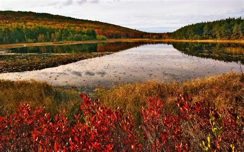 Acadia National Park Fall Colors in Maine 2024 - Rove.me