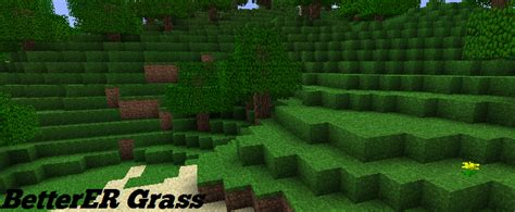 Minecraft Grass Texture Side