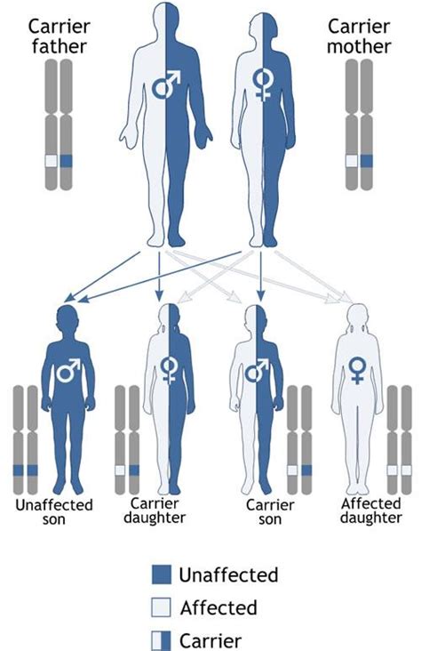 Genetics And Heredity