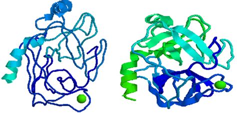 Trypsin - Creative Enzymes