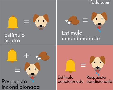 Estímulo condicionado: qué es, características, ejemplos