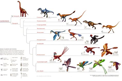 Fantasy Game Book: Feathered Dinosaurs and the Dinosaur Lag Effect