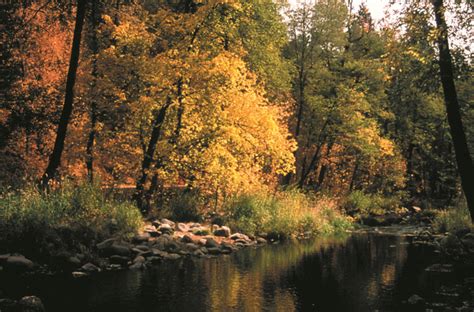 The fall colors in Oak Creek Canyon are gorgeous right now! | Oak creek ...