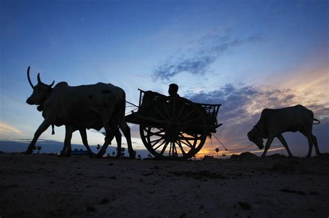 Daily Life In Cambodia: Photos Reveal Country's Stunning Beauty | HuffPost