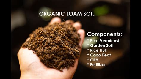 LOAM SOIL || TYPE OF SOIL || CIVIL ENGINEERING - YouTube