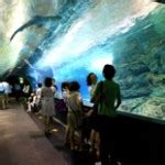 Aquarium Coex Mall Seoul - Exploring Korea