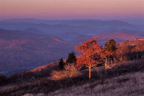 Michael Speed | A Night on Whitetop Mountain