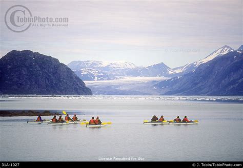 Glacier Bay Kayaking Photo 31A-1027