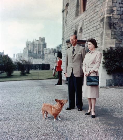 Royal Corgis: A look at Queen Elizabeth’s Beloved Dog Breed – Dogster