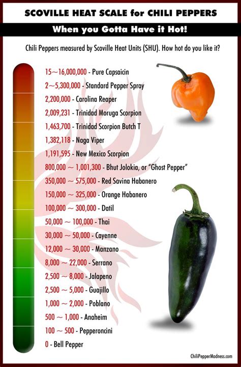 The Scoville Scale | Stuffed peppers, Stuffed hot peppers, Chili pepper