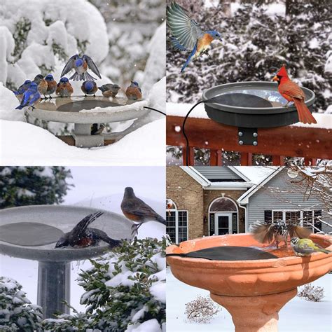 The Best Heated Bird Baths for Winter – Nature Blog Network