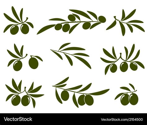 Olive branch set Royalty Free Vector Image - VectorStock