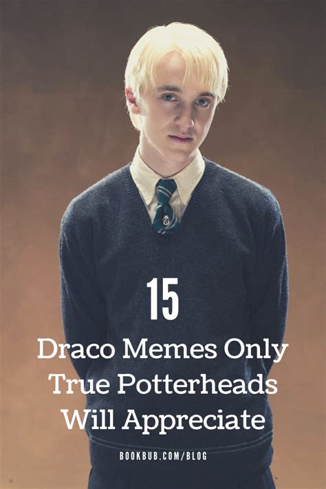 15 Draco Memes Guaranteed to Make Potterheads Laugh Out Loud | Harry ...