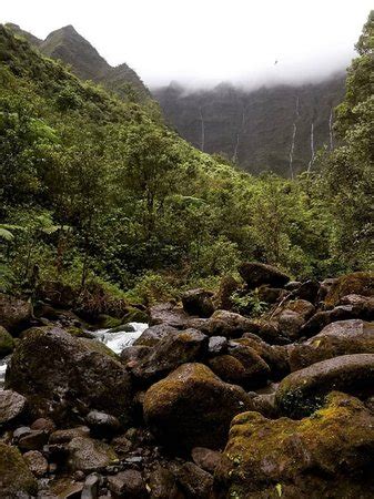 Kauai Hiking Adventures (Kapaa) - 2021 All You Need to Know BEFORE You Go (with Photos ...