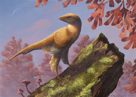 How Did Feathered Dinosaurs Learn to Fly?