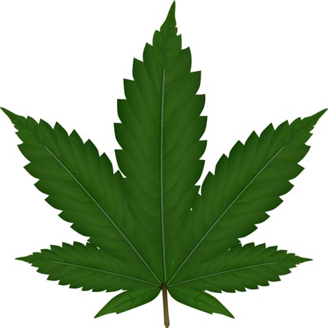 Cannabis Hanf Blatt - Kostenlose Vektorgrafik auf Pixabay