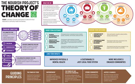 Nourish Project's Theory of Change Infographic