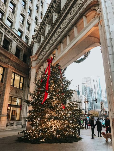 5 Must-See Christmas Trees in Downtown Chicago | Chicago christmas ...