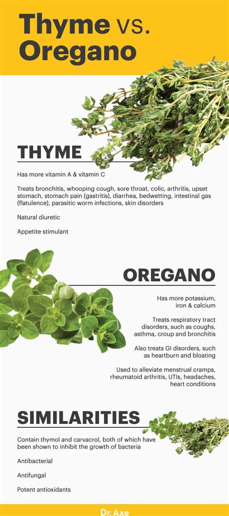 Thyme Nutrition, Health Benefits, Uses and Recipes - Dr. Axe