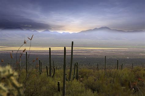 900x600-master_0017_Stock Landscape - Arizona Land and Water Trust