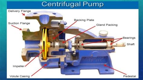 Centrifugal Pump Mechanical Seal Diagram