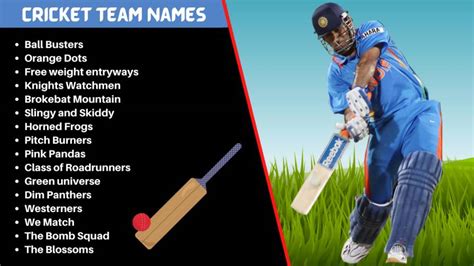 [1650+] Funny Cricket Team Names To Call Your Cricket Group