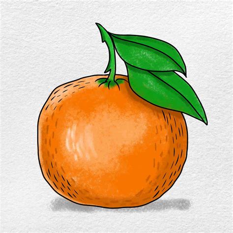 Tangerine Drawing - HelloArtsy