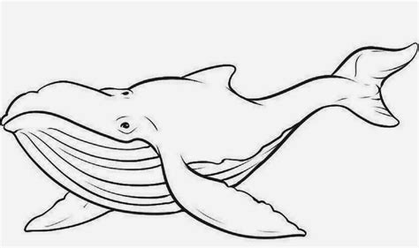 Whale outline template jpg - Clipartix