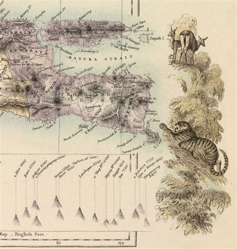 Old Map of the Dutch East Indies in 1872 by Fullarton - Borneo, Java, Indonesia, Colonialism ...