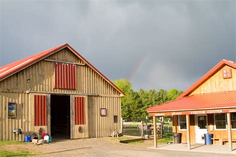 23-Acre Farm Sanctuary - A Haven for Animals and Humans Alike, $997,000 - Upstater