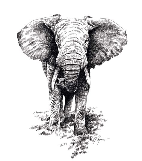 AFRICAN ELEPHANT Wildlife Art Print Signed by Artist DJ Rogers