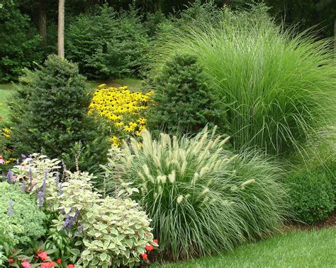 Front Yard Landscaping With Ornamental Grasses: A Guide And Tips ...