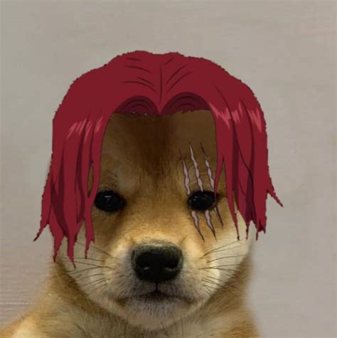 Anime one piece shanks doge pfp Dog Icon, Memes, Cool Anime Wallpapers ...