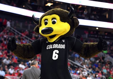 Colorado Basketball: 2018-19 season preview for the Buffaloes