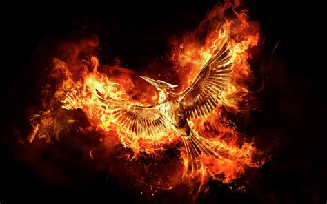 The Hunger Games MockingJay Part 2 Movie, HD Movies, 4k Wallpapers ...