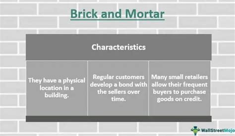 Brick and Mortar - Meaning, Types, Examples, How it Works?