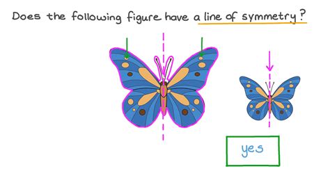 Question Video: Finding the Lines of Symmetry of a Two-Dimensional Figure | Nagwa