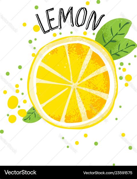 Hand draw lemon half Royalty Free Vector Image