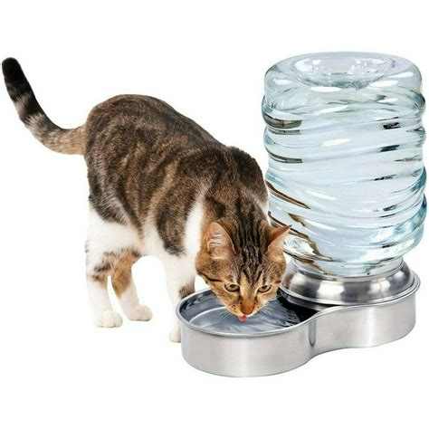 Pet Water Fountain for Dog Cat Stainless Steel Bowl Automatic Gravity ...