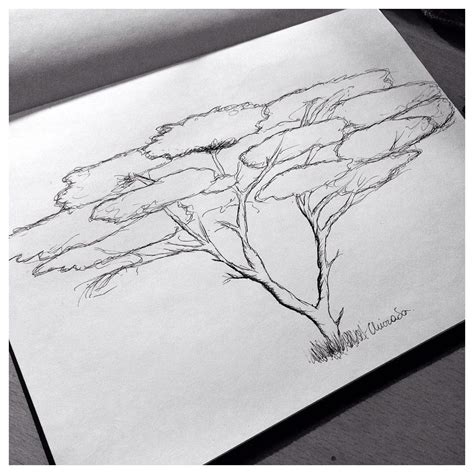 #acacia #tree #drawing #acaciatreedrawing in 2021 | Tree silhouette tattoo, African tree, Tree ...