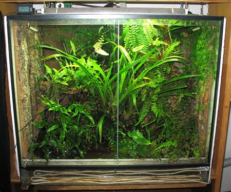 Terrarium - Wikipedia