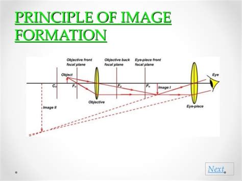 Optical/ Metallurgical Microscopy