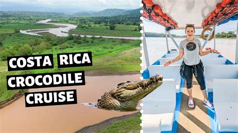 COSTA RICA CROCODILE TOUR // Tarcoles River Crocodiles - YouTube