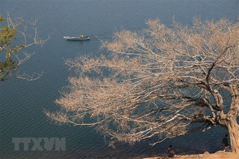 Gia Lai province: Land of beautiful untouched nature